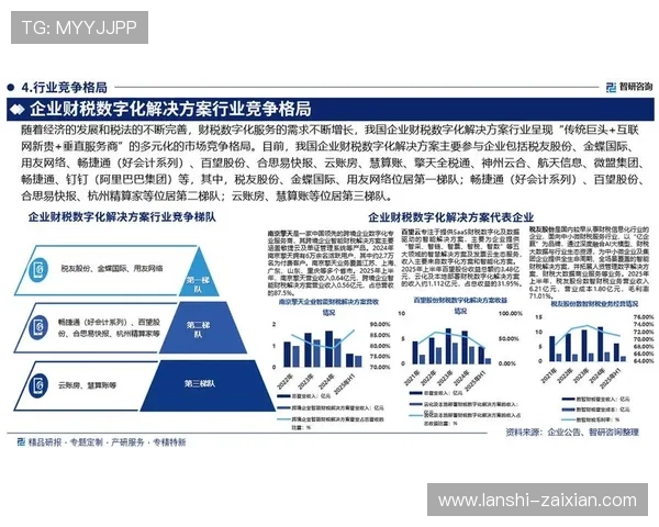 全面解析盈胜国际:行业地位与未来发展前景 全面解析盈胜国际:行业地位与未来发展前景